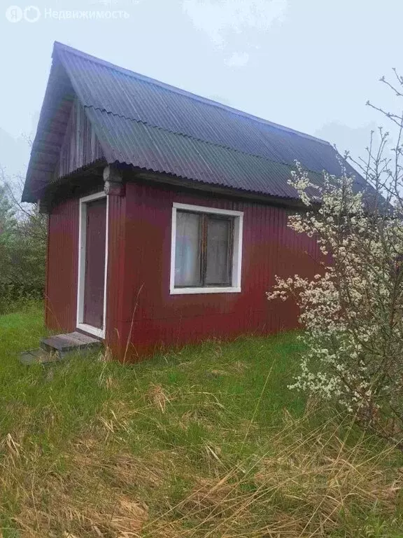 Участок в Пролетарий, Новгородская улица, 29 (15 м) - Фото 1
