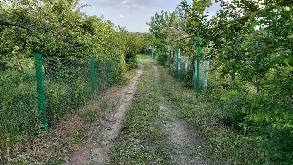 Участок в посёлок городского типа Усть-Донецкий, садоводческое ... - Фото 1