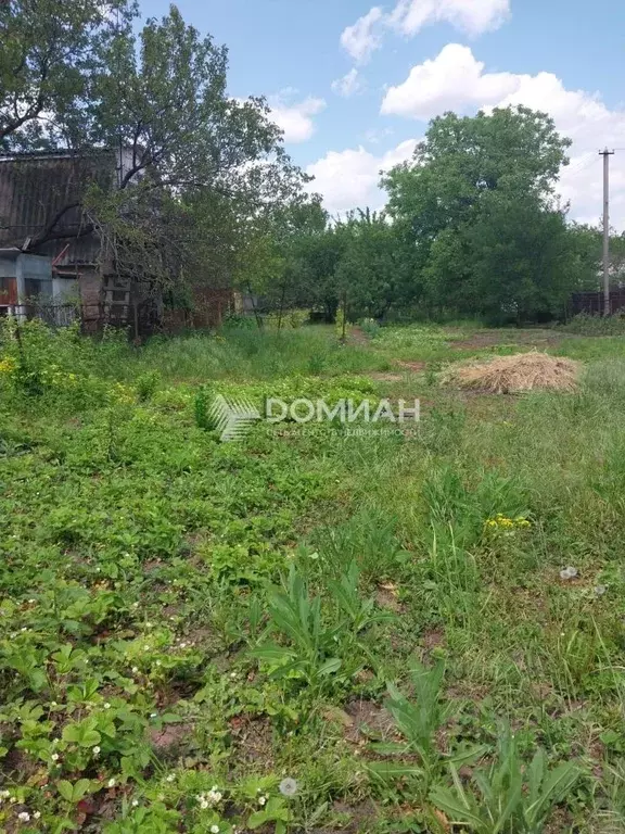 Участок в Ростовская область, Октябрьский район, Кривянское с/пос, ... - Фото 1
