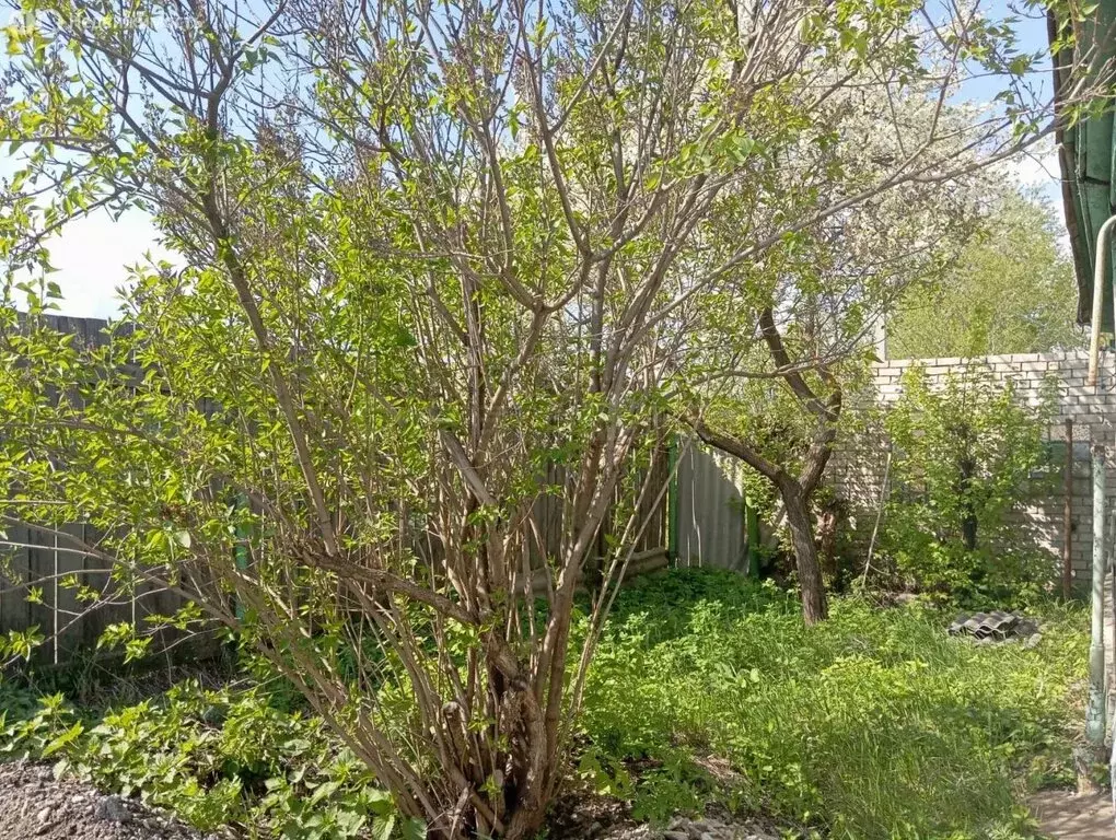 Дом в Казань, улица Дениса Давыдова, 78 (28.5 м) - Фото 0