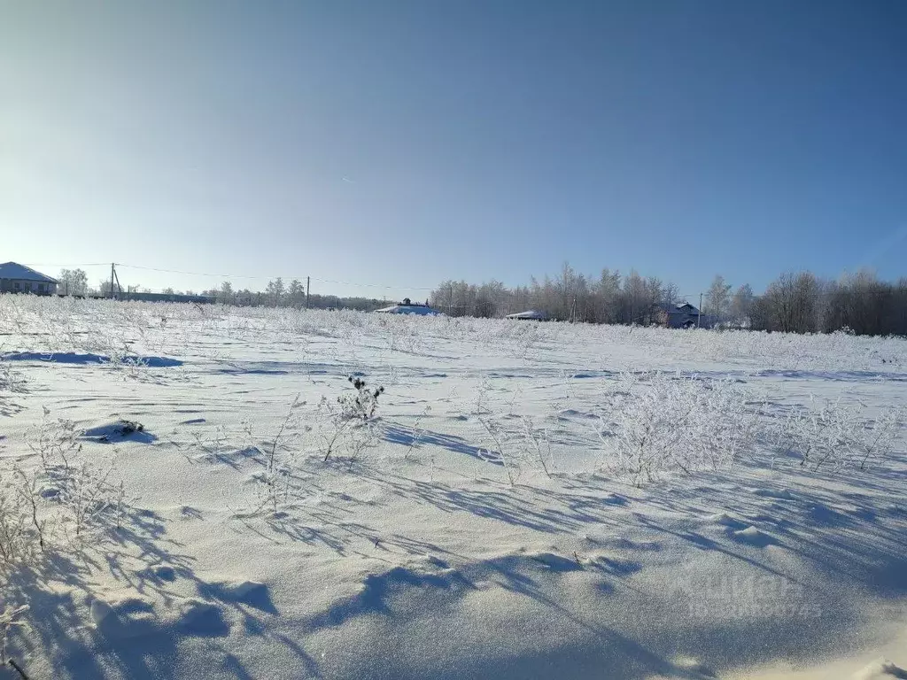 Участок в Московская область, Зарайск Зарайск муниципальный округ, ул. ... - Фото 1