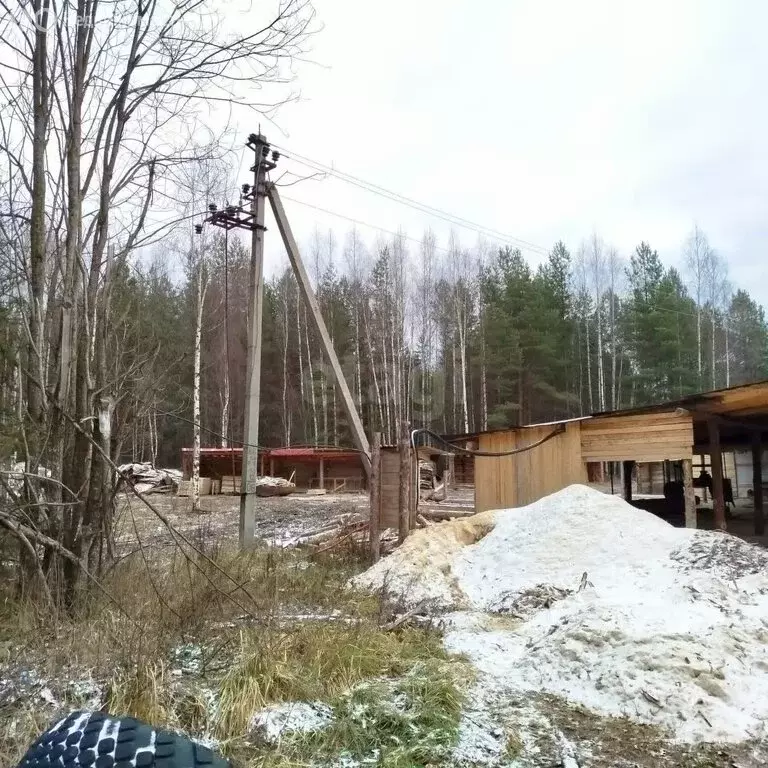 Участок в Зебляковское сельское поселение, территория Промышленная ... - Фото 1