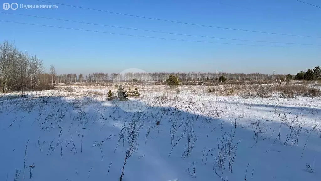 Участок в Лаишевский район, село Габишево (4101 м) - Фото 1