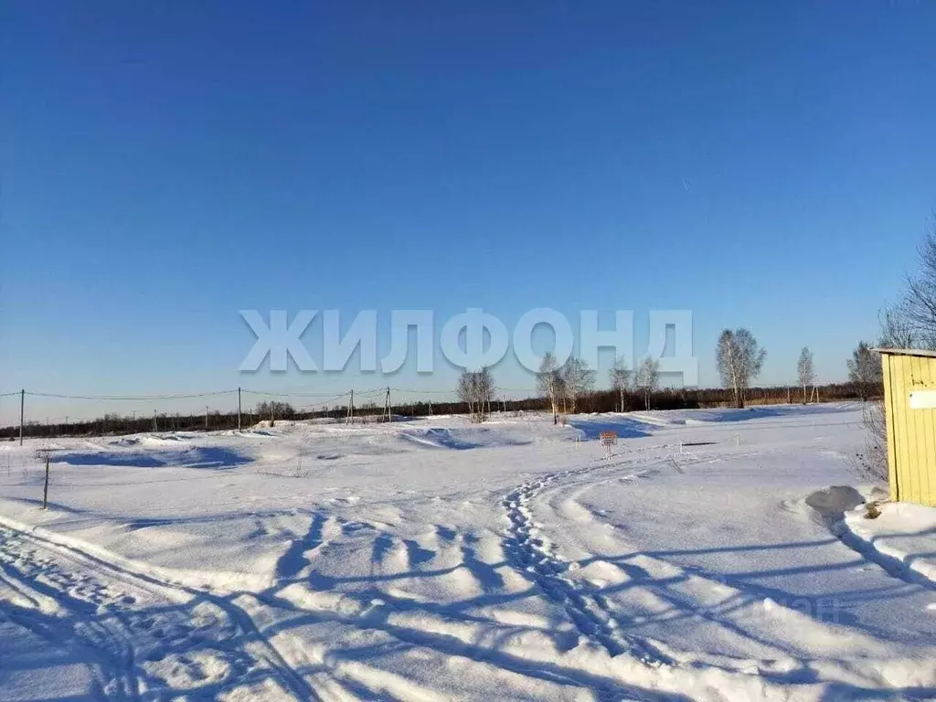 Участок в Новосибирская область, Новосибирский район, Криводановский ... - Фото 2