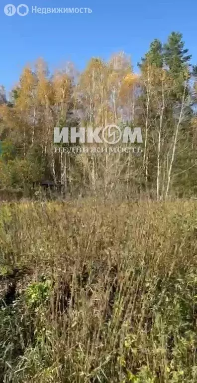 Участок в Московская область, Раменский муниципальный округ, СНТ ... - Фото 1