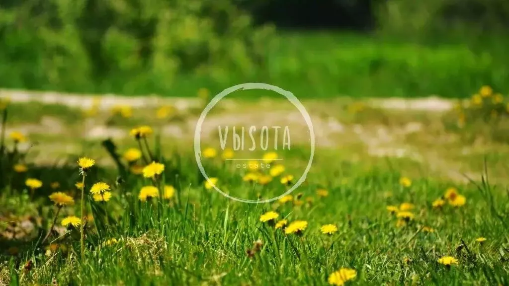 Участок в Московская область, Одинцовский городской округ, д. ... - Фото 2