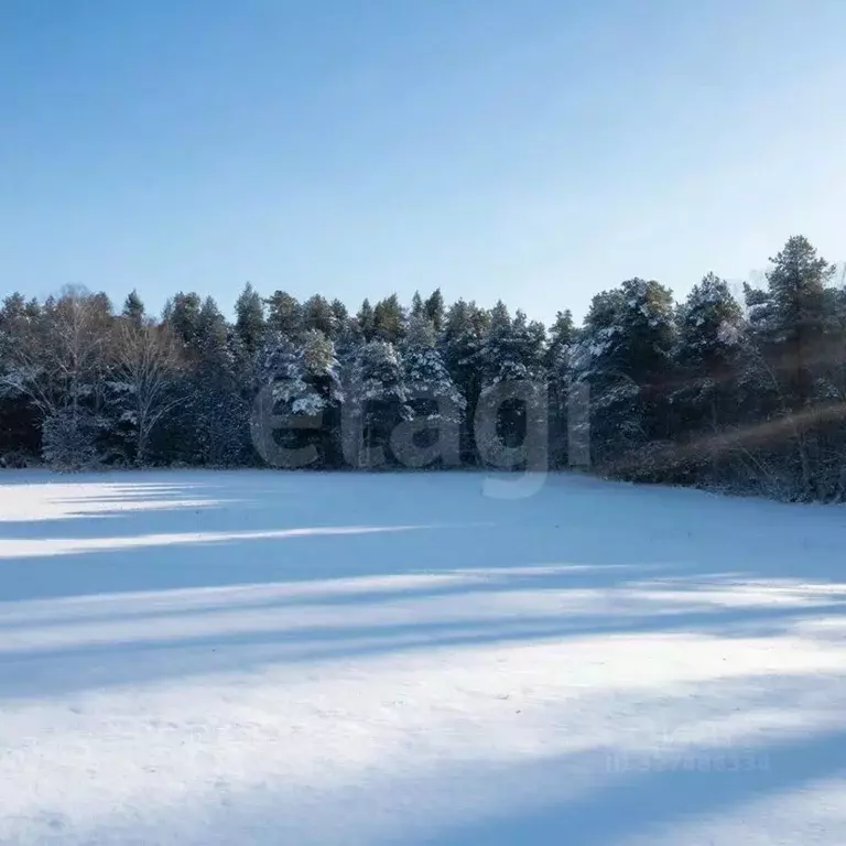Участок в Ярославская область, Тутаевский муниципальный округ, д. ... - Фото 2
