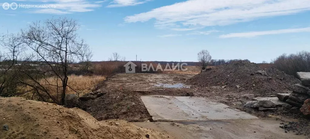 Участок в Калининградская область, Зеленоградский муниципальный округ, ... - Фото 0