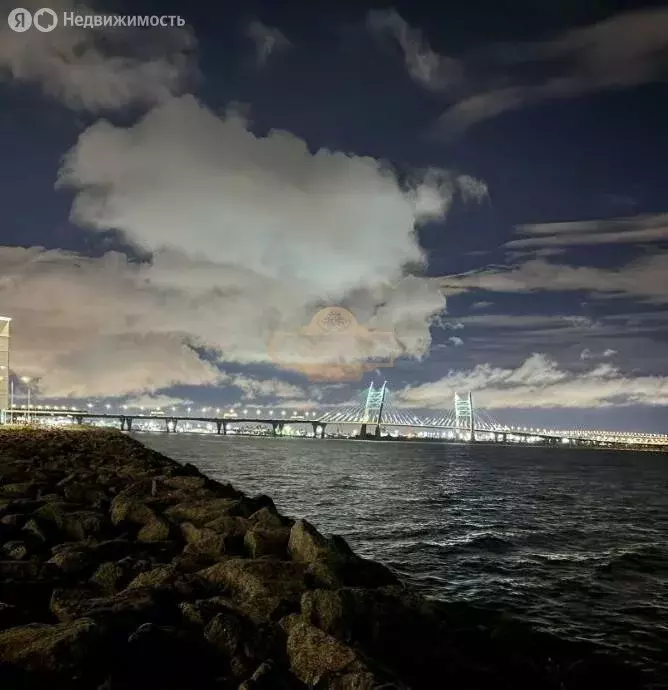 2-комнатная квартира: Санкт-Петербург, набережная Миклухо-Маклая, 1к1 ... - Фото 1