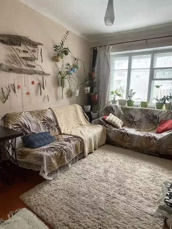 2-к кв. Новосибирская область, Новосибирск Трудовая ул., 14 (42.0 м) - Фото 1
