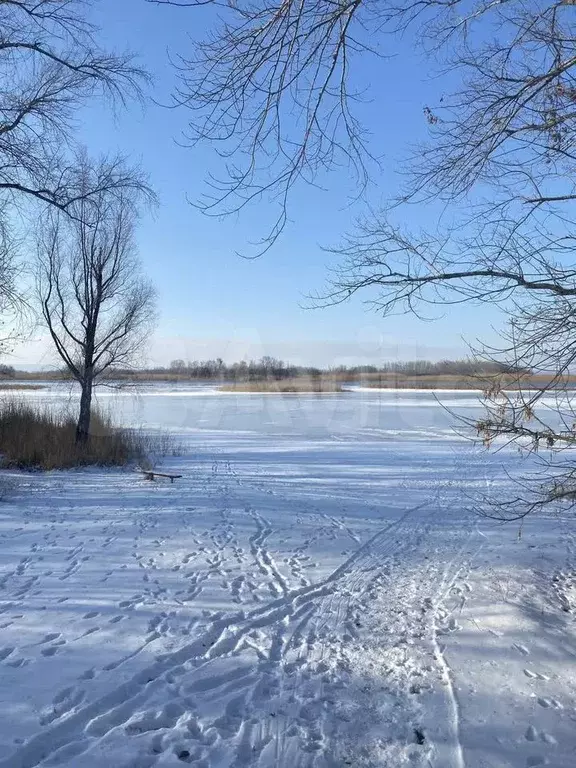 Дача 37,4 м на участке 4,6 сот. - Фото 0