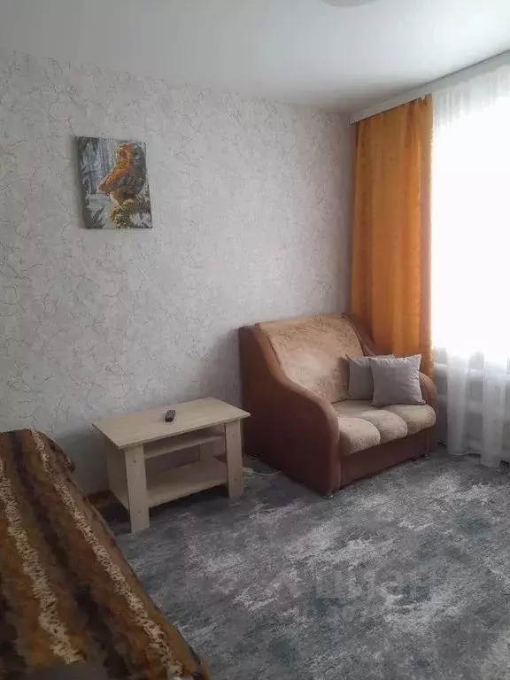 1-к кв. Нижегородская область, Княгинино ул. Люкина, 90 (20.0 м) - Фото 1