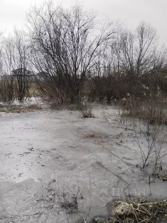 Участок в Московская область, Орехово-Зуевский городской округ, д. ... - Фото 1