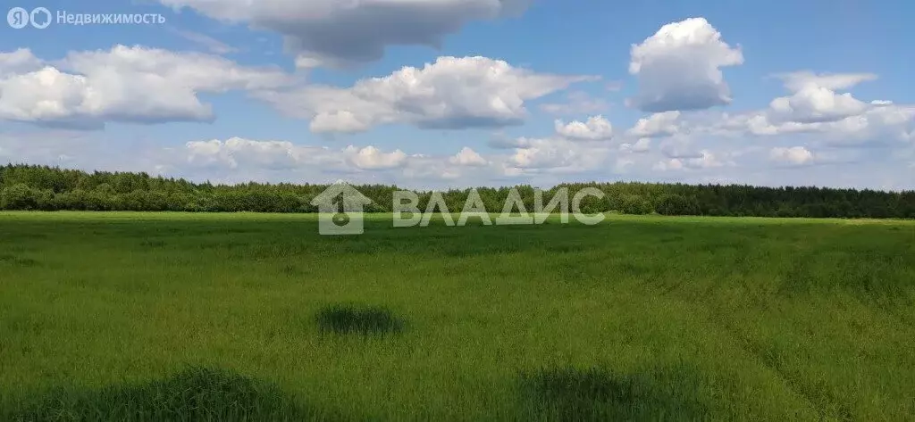 Участок в Вологодский муниципальный округ, деревня Ивановка (30 м) - Фото 0