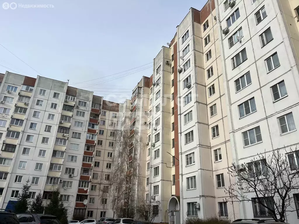 2-комнатная квартира: Воронеж, Советская улица, 53 (50.2 м) - Фото 1
