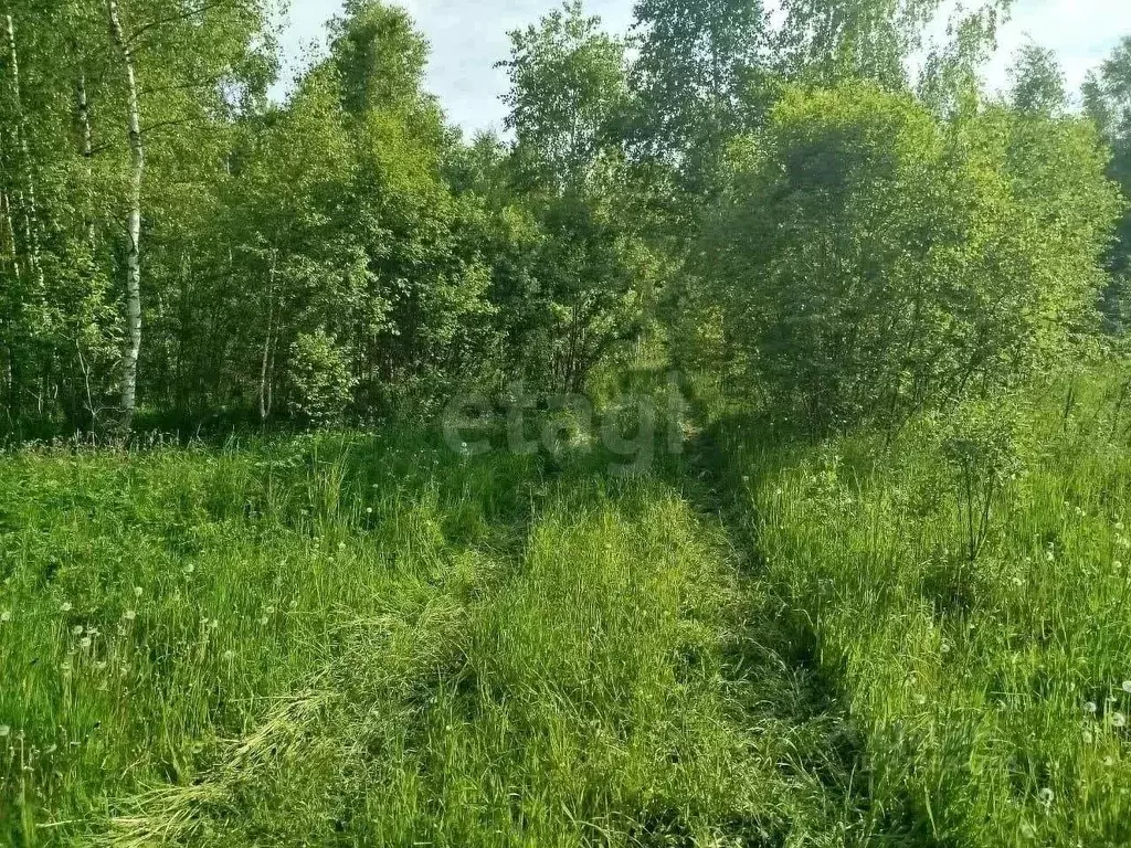 Участок в Тульская область, Заокский район, Страховское с/пос, Верхняя ... - Фото 2