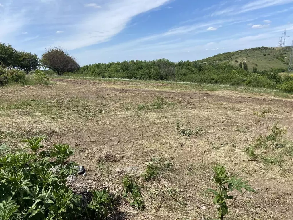 Участок в Крым, Симферопольский район, с. Мазанка ул. Садовая, 407 ... - Фото 1