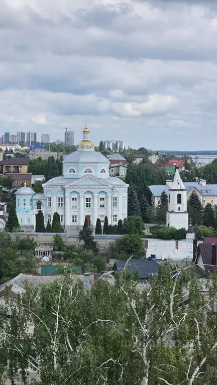 Помещение свободного назначения в Воронежская область, Воронеж ул. ... - Фото 1