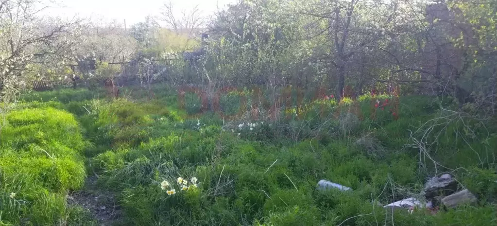 Участок в Ростовская область, Ростов-на-Дону Житомирский пер., 5 (6.8 ... - Фото 1