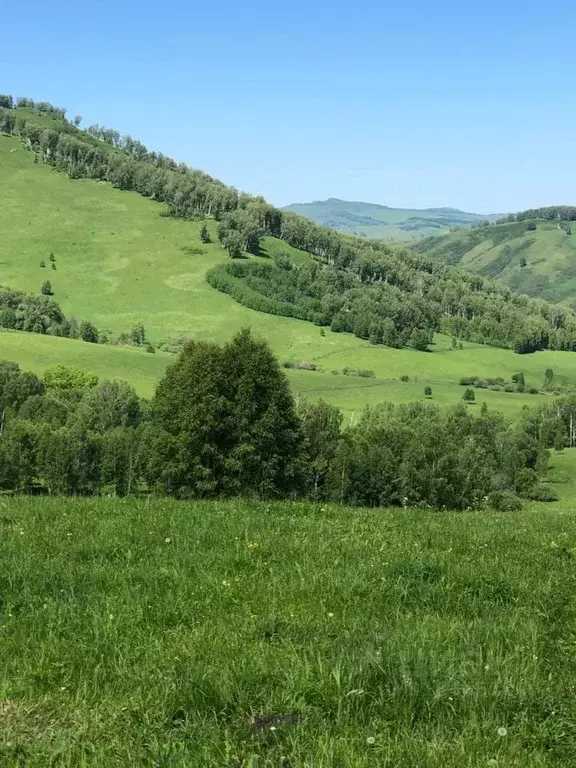 Производственное помещение в Алтайский край, Белокуриха Алтайская ул., ... - Фото 1