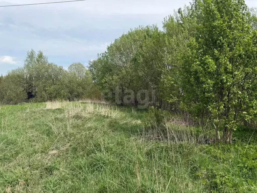 Участок в Ленинградская область, Гатчинский муниципальный округ, д. ... - Фото 1
