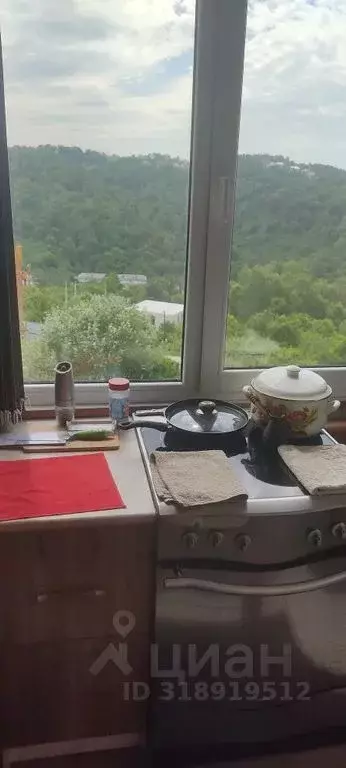 Дом в Краснодарский край, Сочи городской округ, с. Детляжка ул. ... - Фото 0