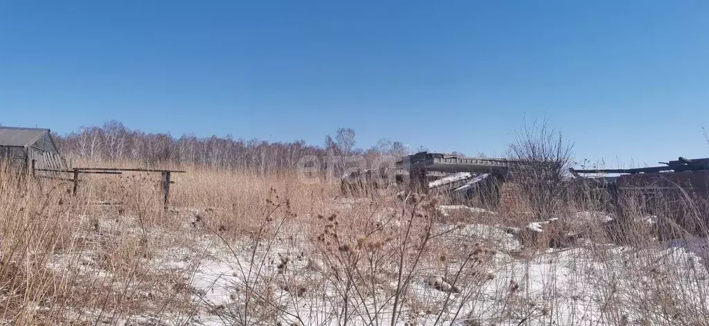 Дом в Кемеровская область, Юрга Центральная ул. (31.4 м) - Фото 1