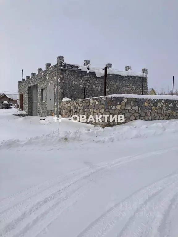 Помещение свободного назначения в Новосибирская область, Искитимский ... - Фото 1