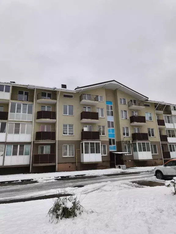 Студия Ленинградская область, Всеволожский район, Дубровское городское ... - Фото 1