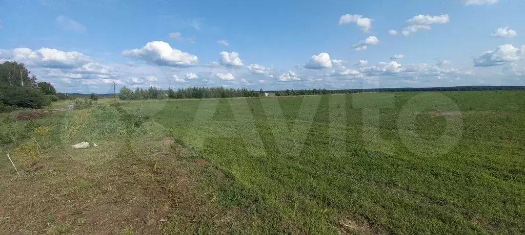 Участок 4,63 га (СНТ, ДНП) - Фото 0