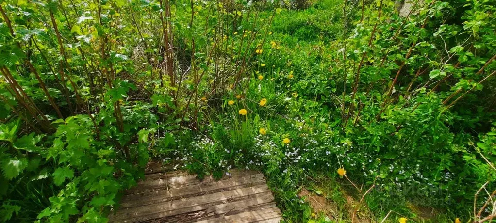 Дом в Московская область, Солнечногорск городской округ, д. Замятино ... - Фото 2