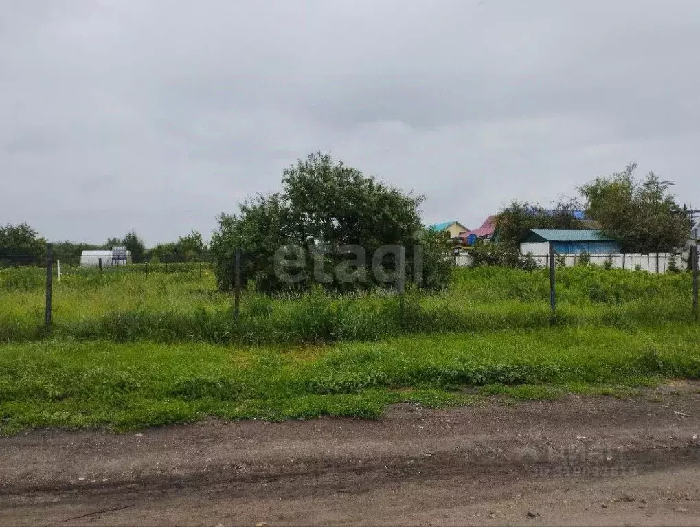 Участок в Саратовская область, Балашовский район, Хоперское ... - Фото 1