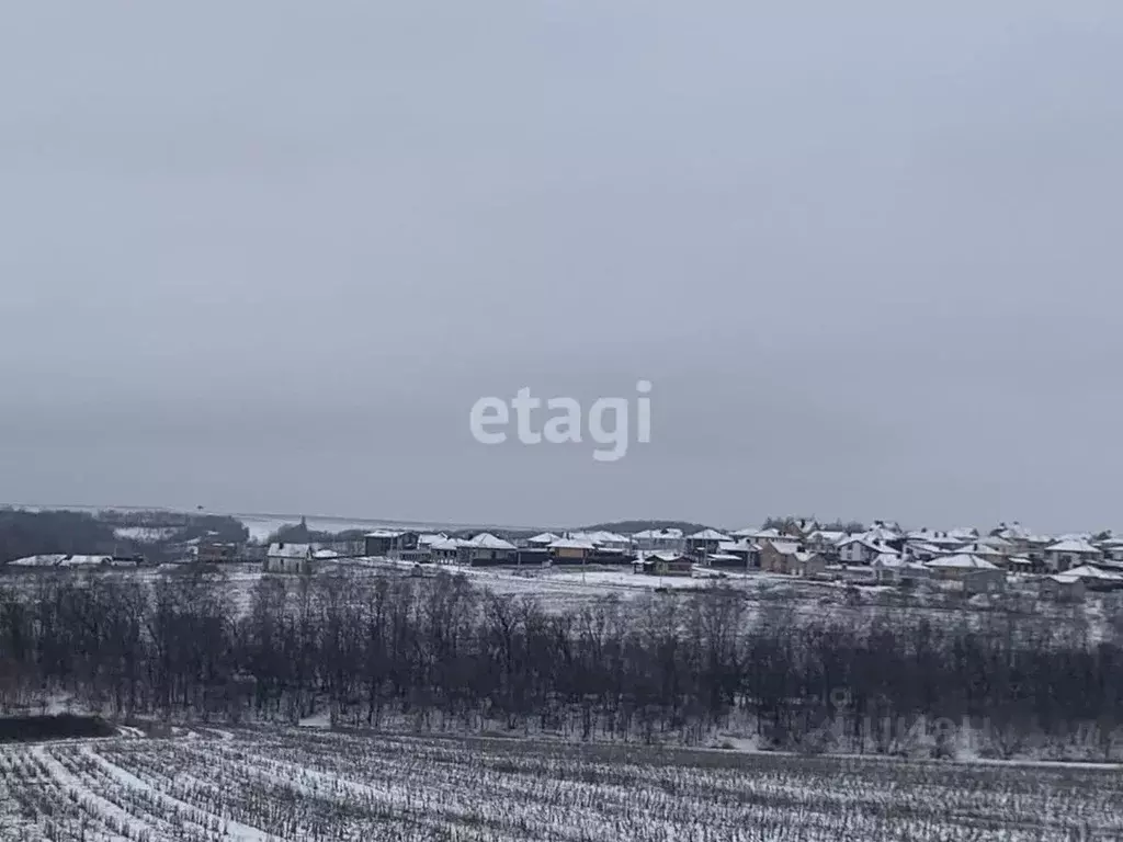 Участок в Белгородская область, Белгородский район, Головинское с/пос, ... - Фото 1