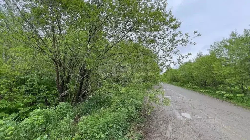 Участок в Сахалинская область, Анивский городской округ, с. Троицкое, ... - Фото 2