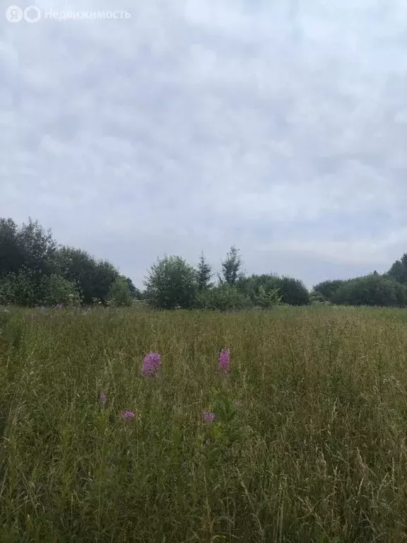 Участок в Пермь, посёлок Голованово, Молодёжная улица (5.99 м) - Фото 1