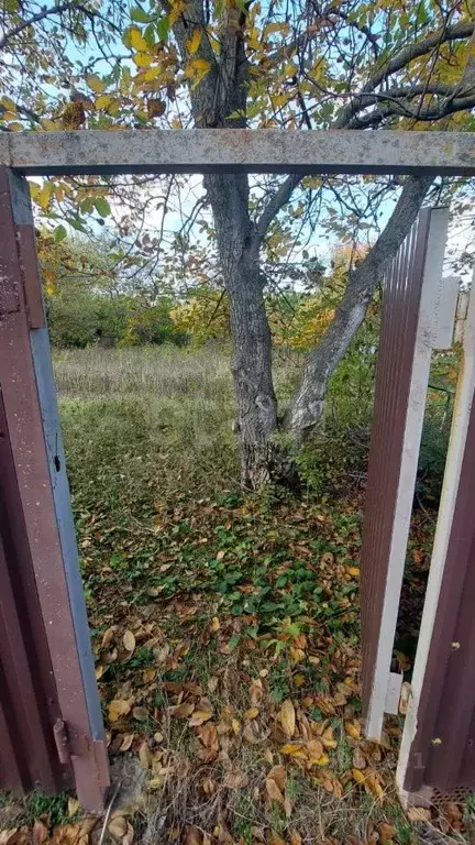 Участок в Ростовская область, Аксайский район, Истоминское с/пос, ... - Фото 2