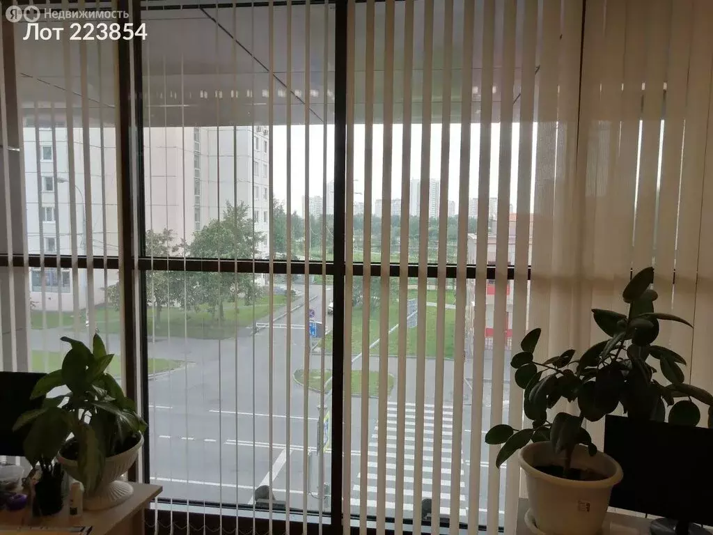 Помещение свободного назначения (267 м) - Фото 1