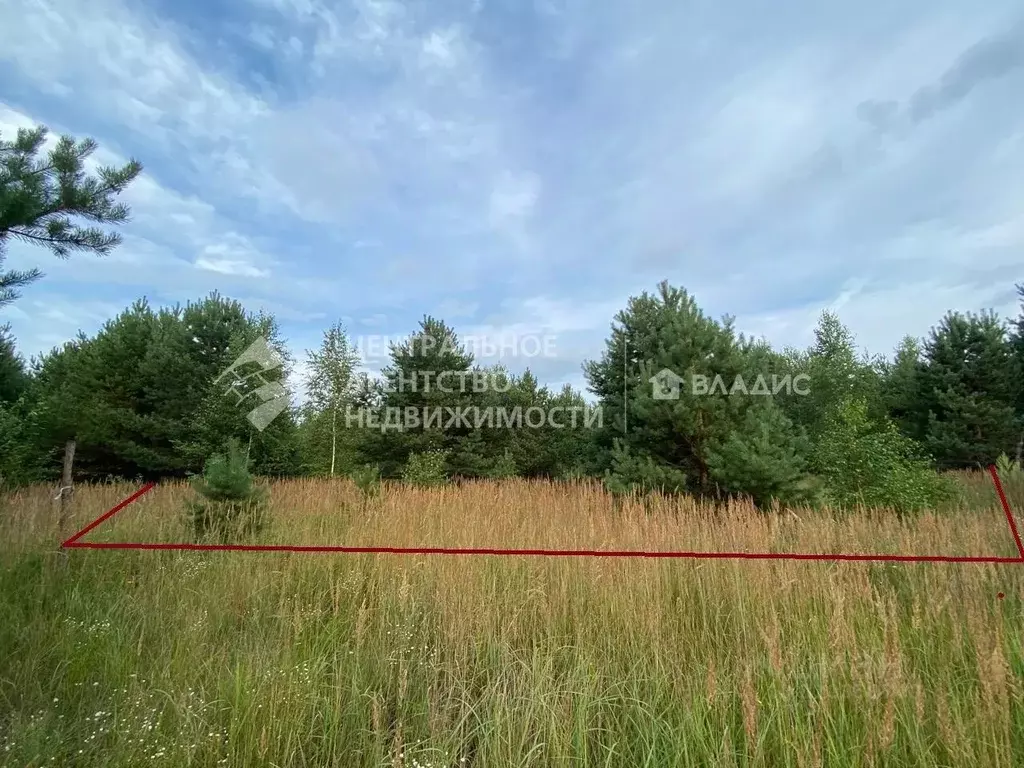 Участок в Рязанская область, Клепиковский район, Ненашкинское с/пос, ... - Фото 2