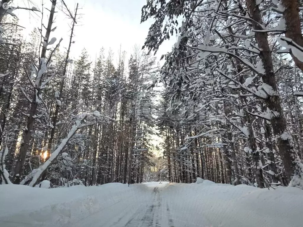 Участок в Барышевский сельсовет, садоводческое товарищество Заря (6 м) - Фото 1