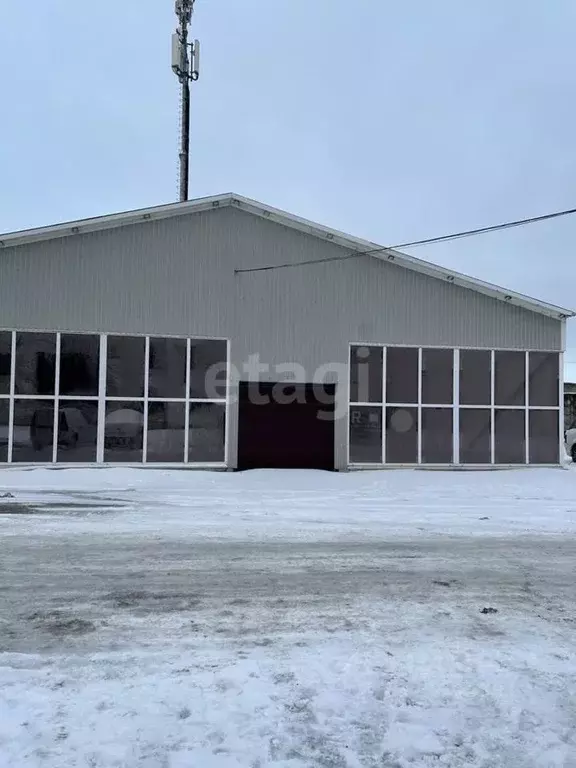 Помещение свободного назначения в Псковская область, Псков ул. ... - Фото 1