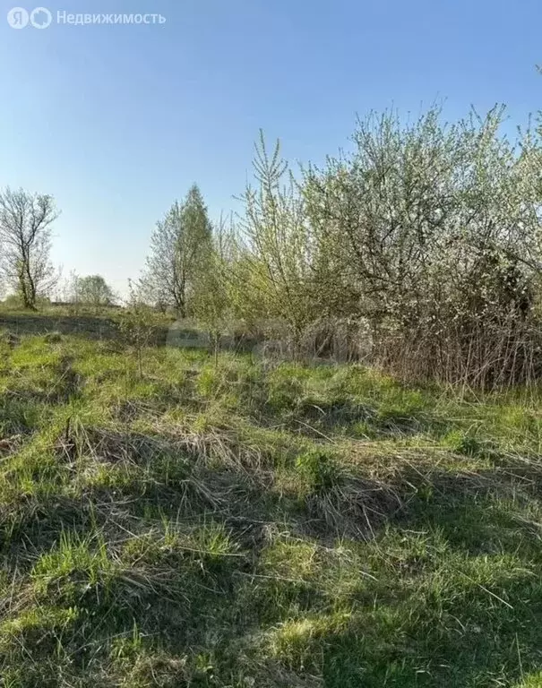 Участок в деревня Добрунь, садоводческое некоммерческое товарищество ... - Фото 2