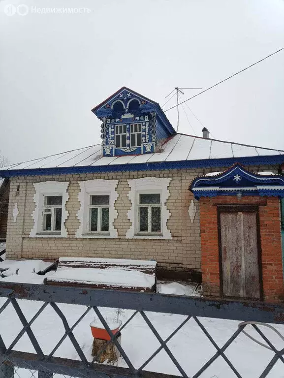 Дом в Нижегородская область, городской округ Бор, деревня Борисовка, ... - Фото 1