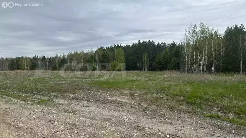 Участок в Свердловская область, Тугулымский муниципальный округ, ... - Фото 1