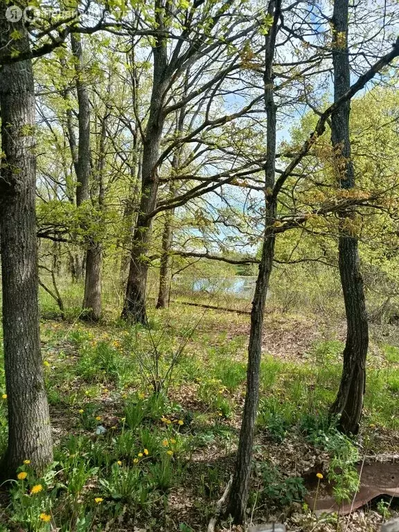 Дом в Новгородский муниципальный район, Панковское городское поселение ... - Фото 2