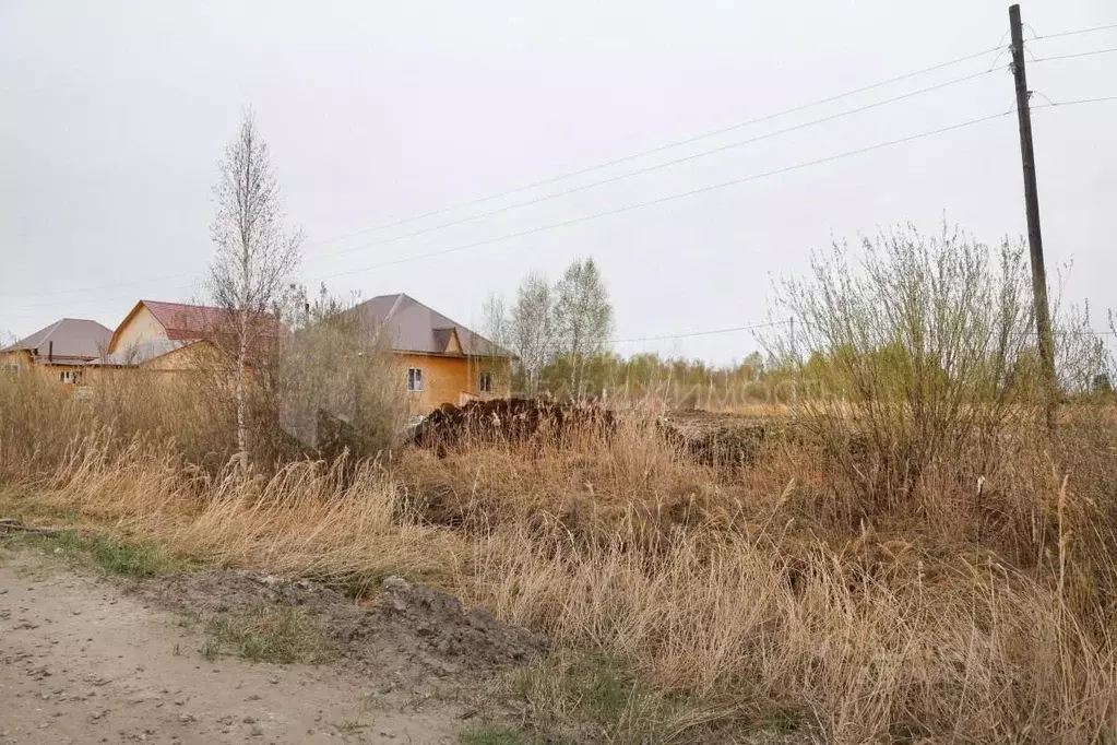 Участок в Тюменская область, Тюмень Ясень садовое товарищество, ул. ... - Фото 0