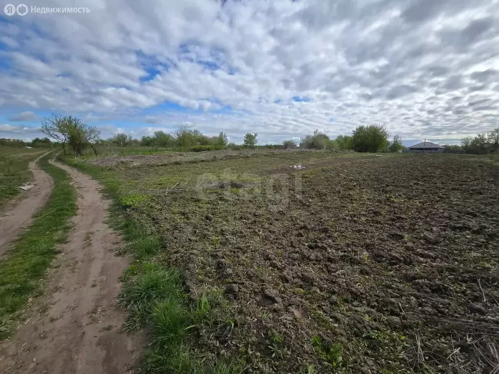Участок в Юровское сельское поселение, деревня Яковск, Октябрьская ... - Фото 1