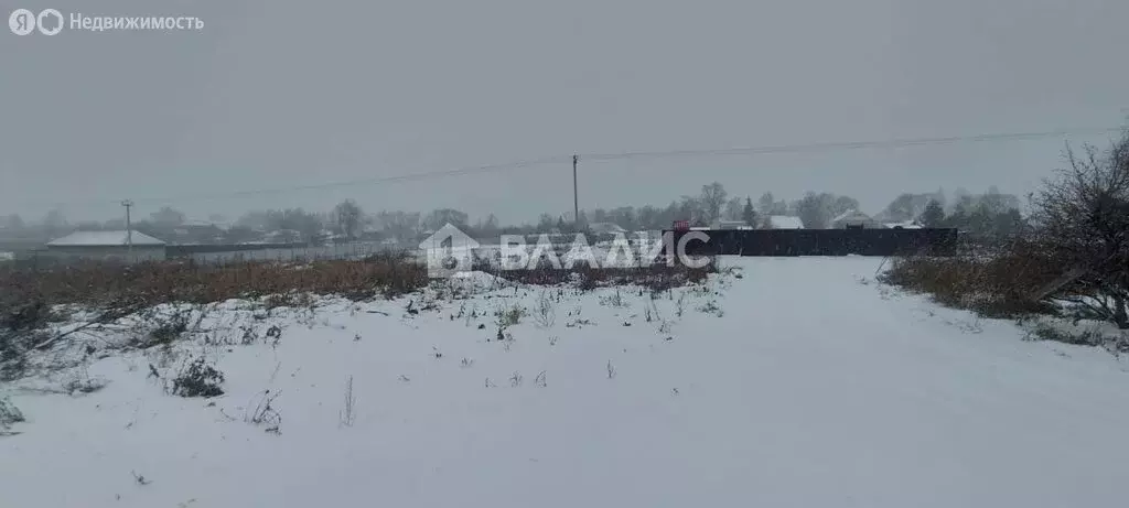 Участок в Суздальский район, муниципальное образование Селецкое, село ... - Фото 1