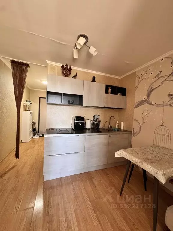 Студия Санкт-Петербург пос. Парголово, Заречная ул., 19к1 (27.2 м) - Фото 1