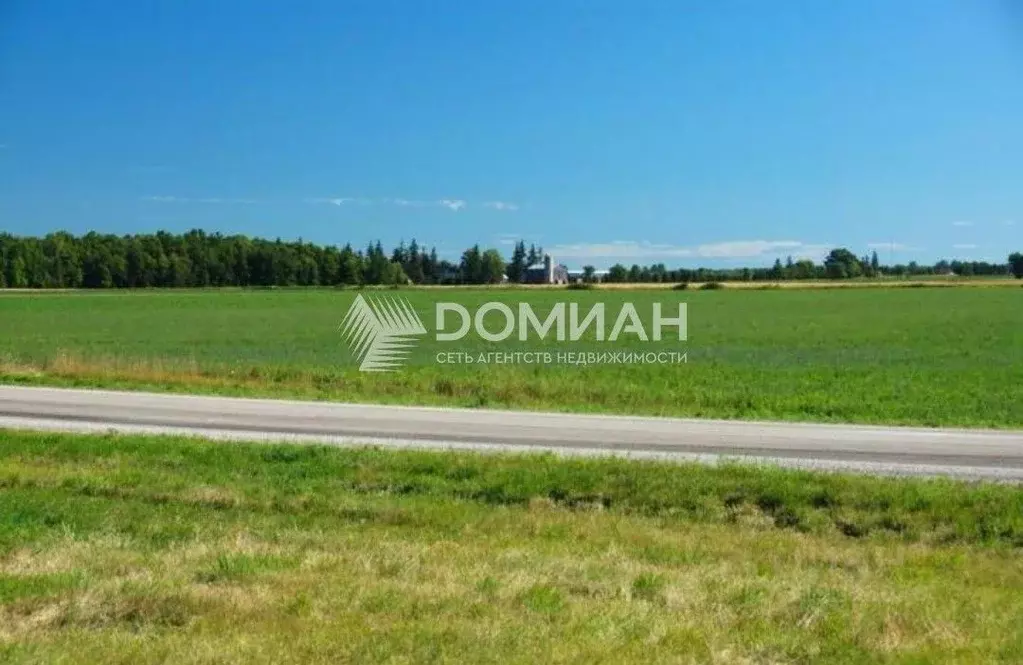 Участок в Ростовская область, Аксайский район, Ольгинская ст-ца ул. ... - Фото 2