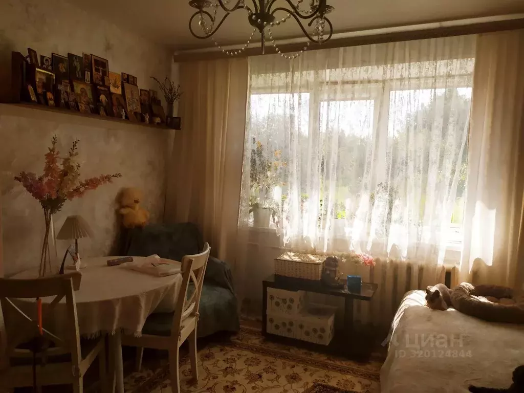 1-к кв. Нижегородская область, с. Дивеево ул. Космонавтов, 12 (26.3 м) - Фото 1